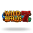 Wild Buffalos 7s