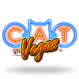 Cat in Vegas