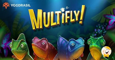 Multifly ! d'Yggdrasil Rapporte 97 000 € à un Joueur Chanceux Avant Même Sa Sortie!
