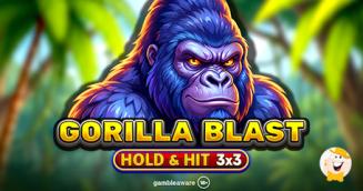 Spinomenal présente Gorilla Blast Hold & Hit 3x3