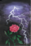 Stormyme