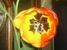 donna.phillips.94402