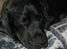 jennifer.kiess.5