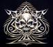 Blackray33