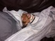 kevinray021