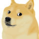 Doge Music