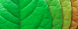 ThomasHow99